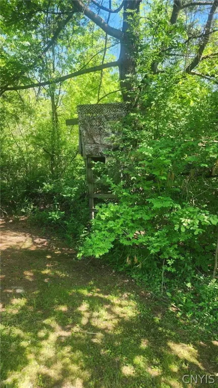 Picture 23