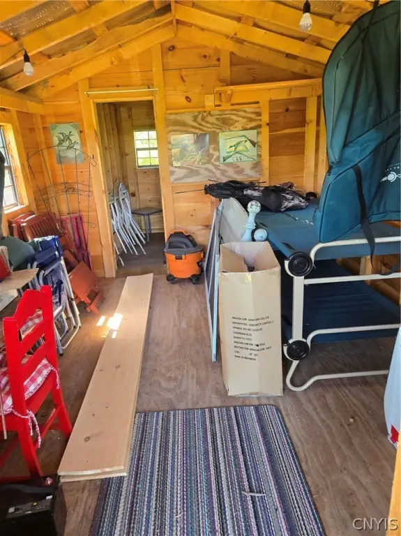 Picture 19