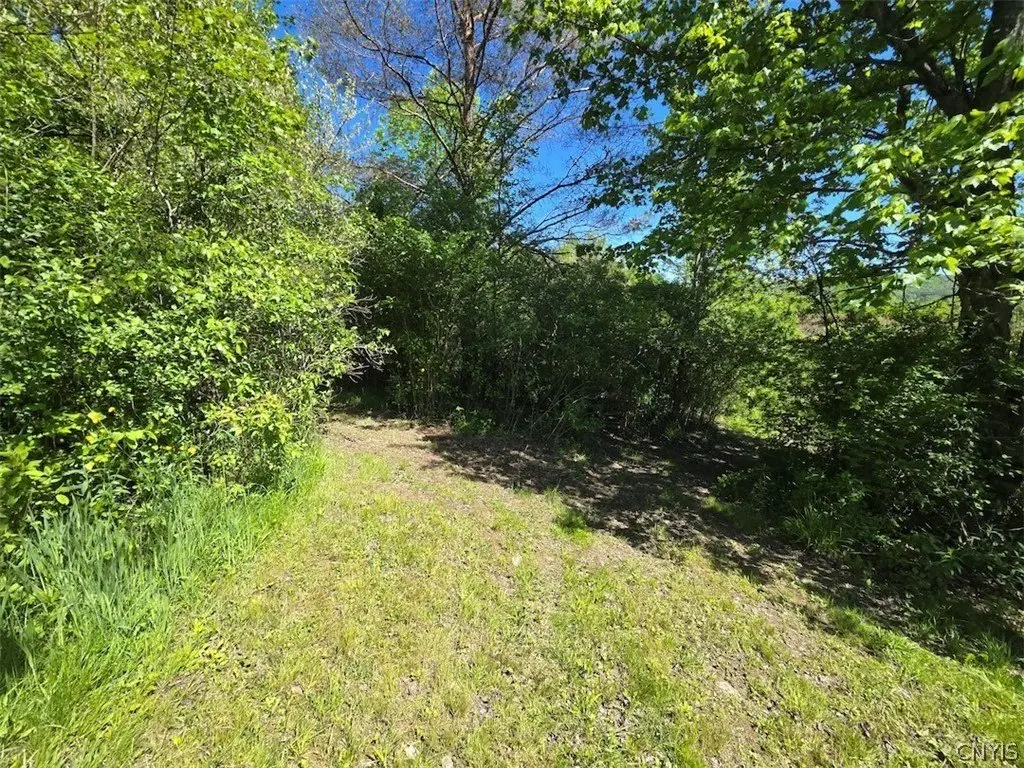 Picture 32