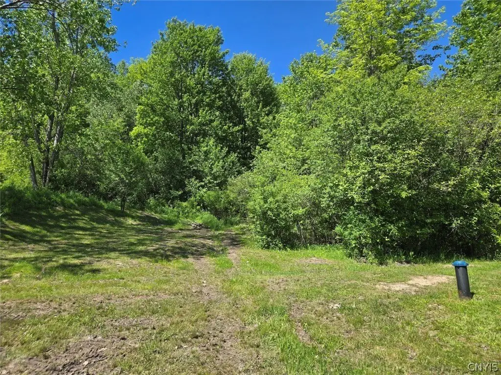 Picture 21