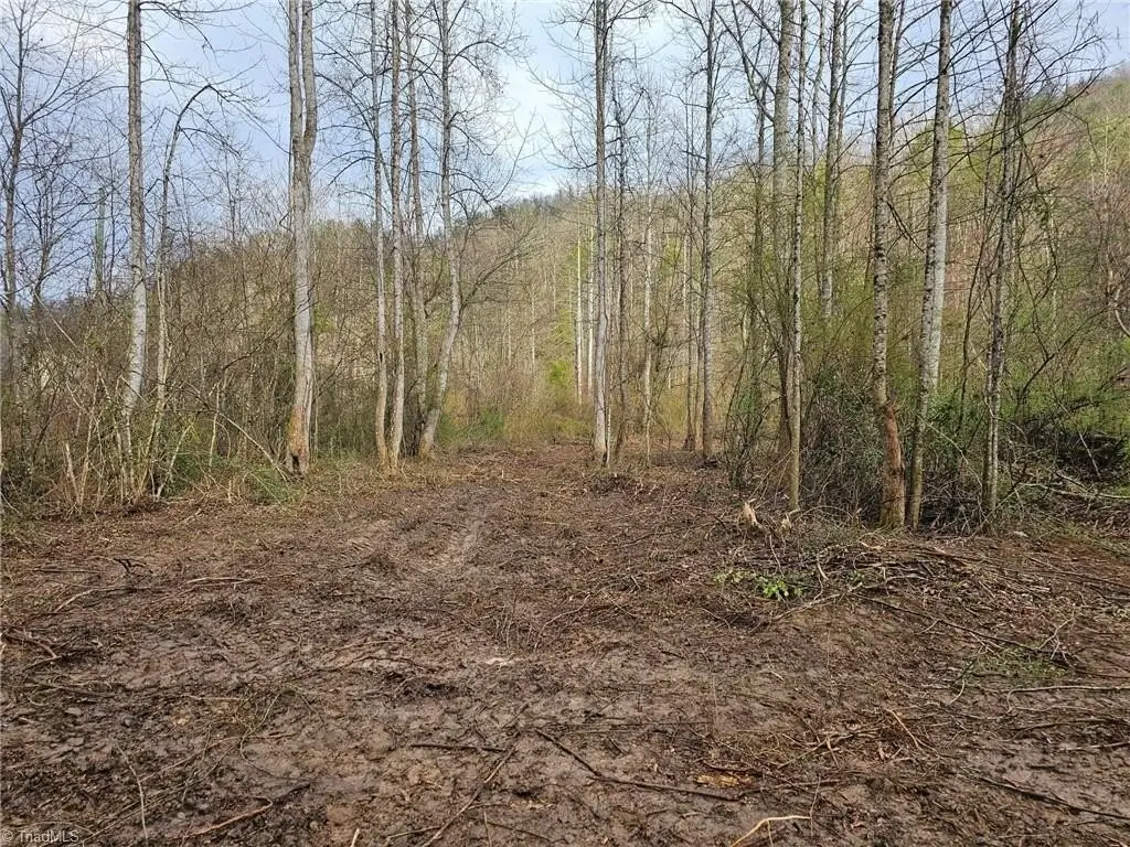 Picture 11