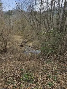 138 Acres of Unimproved Land