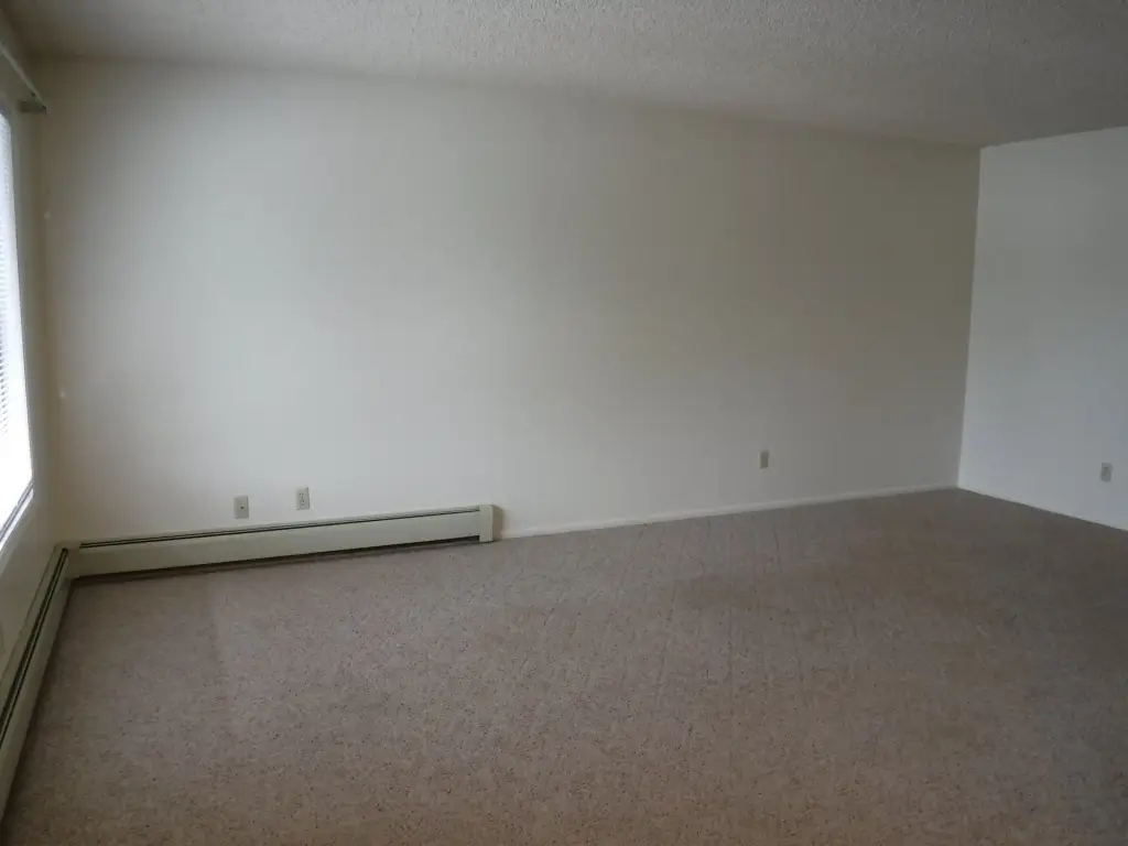 Picture 43