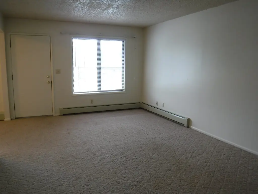 Picture 42