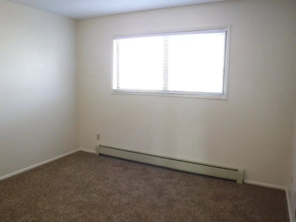 Picture 38