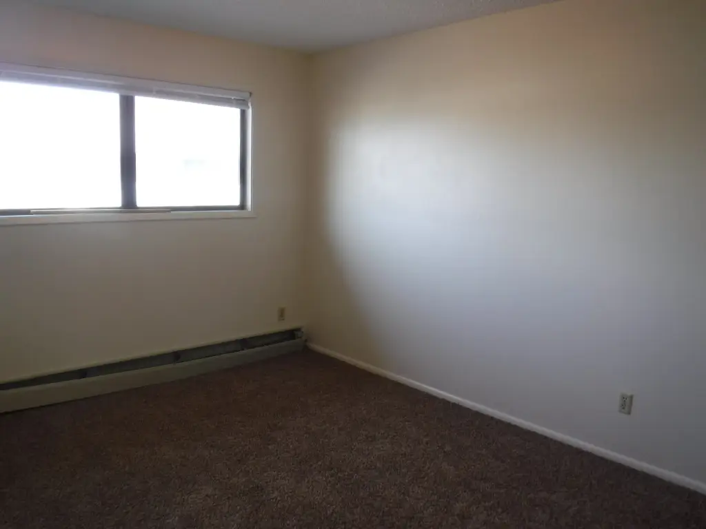 Picture 37