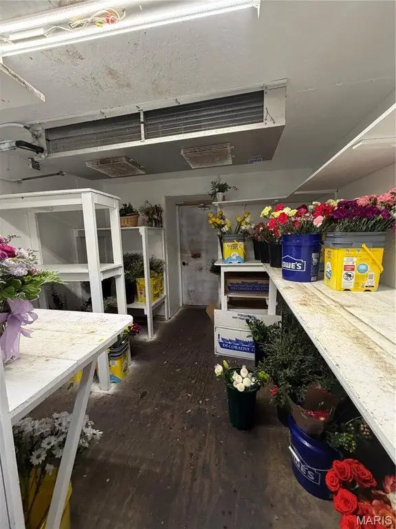 Picture 17