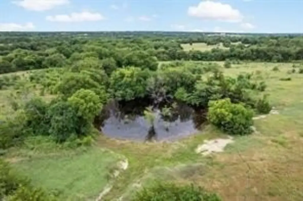 Picture 18