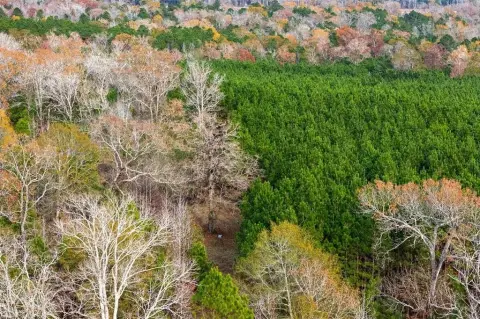 267 Acres Recreational Land in Kennard