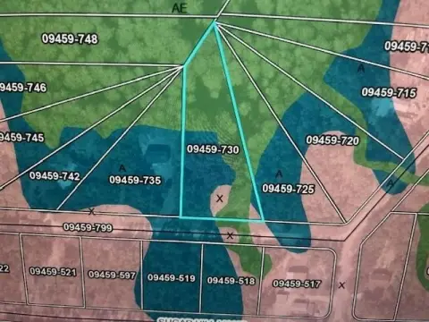 Steinhatchee Vacant Lot For Sale