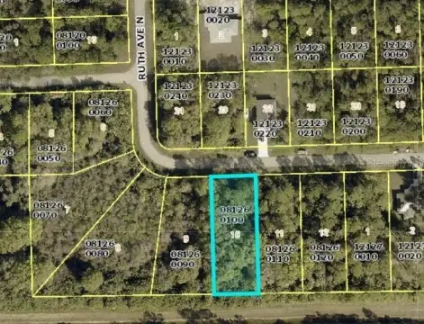 Residential Lot in Lehigh Acres