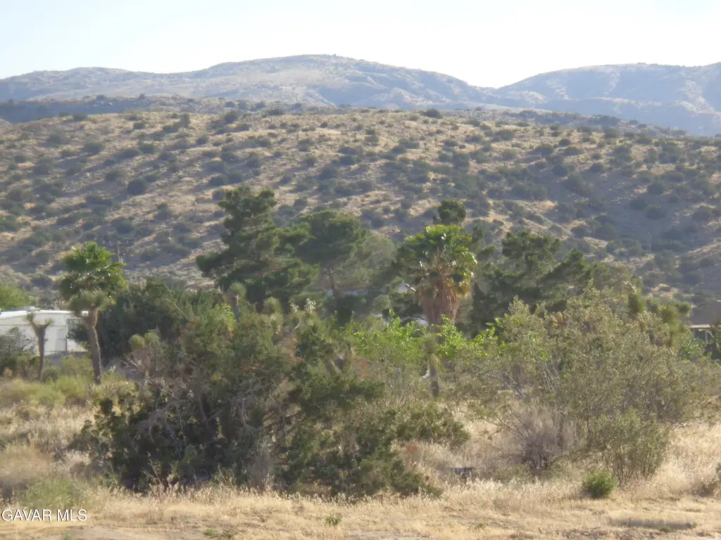 Picture 21