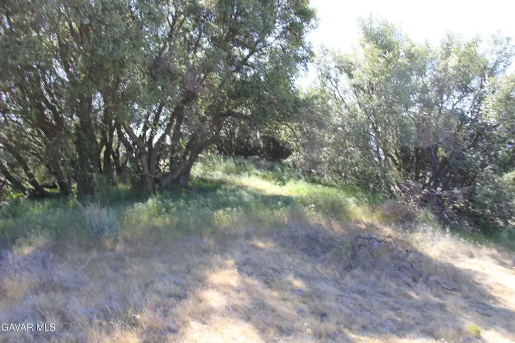 Picture 17