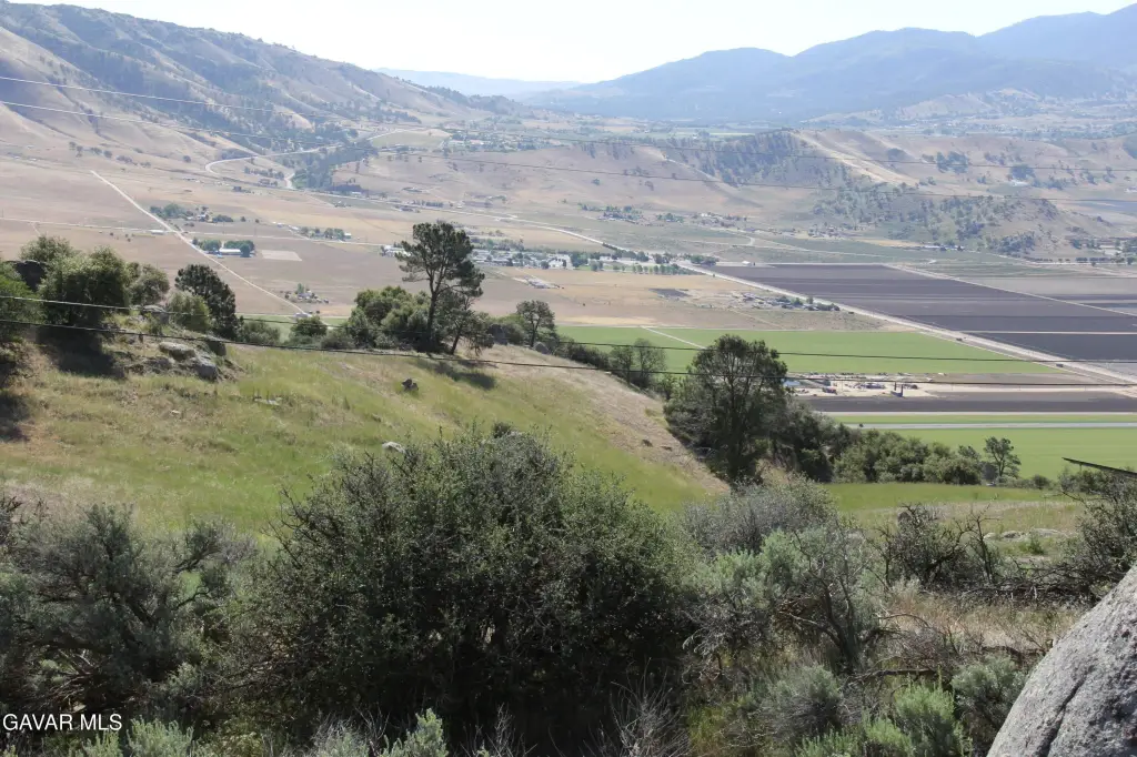 Picture 23