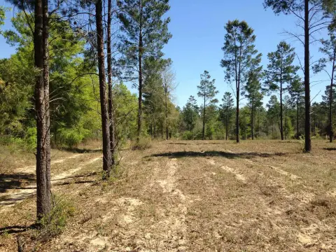 Recreational Land with Highway Frontage