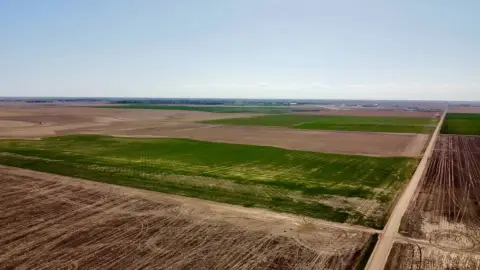 Farmland Quarter Near Goodland, Kansas