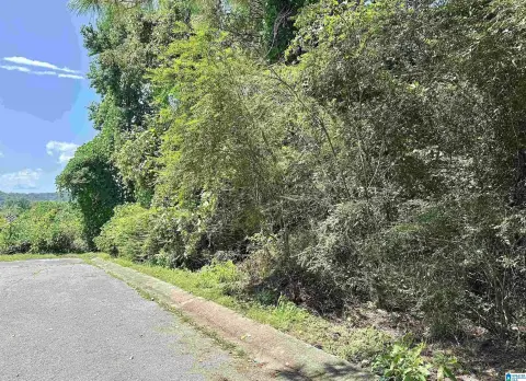 Undeveloped Lot in Birmingham, AL