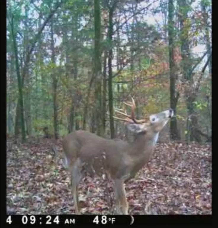 Picture 9