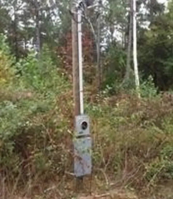 Picture 10
