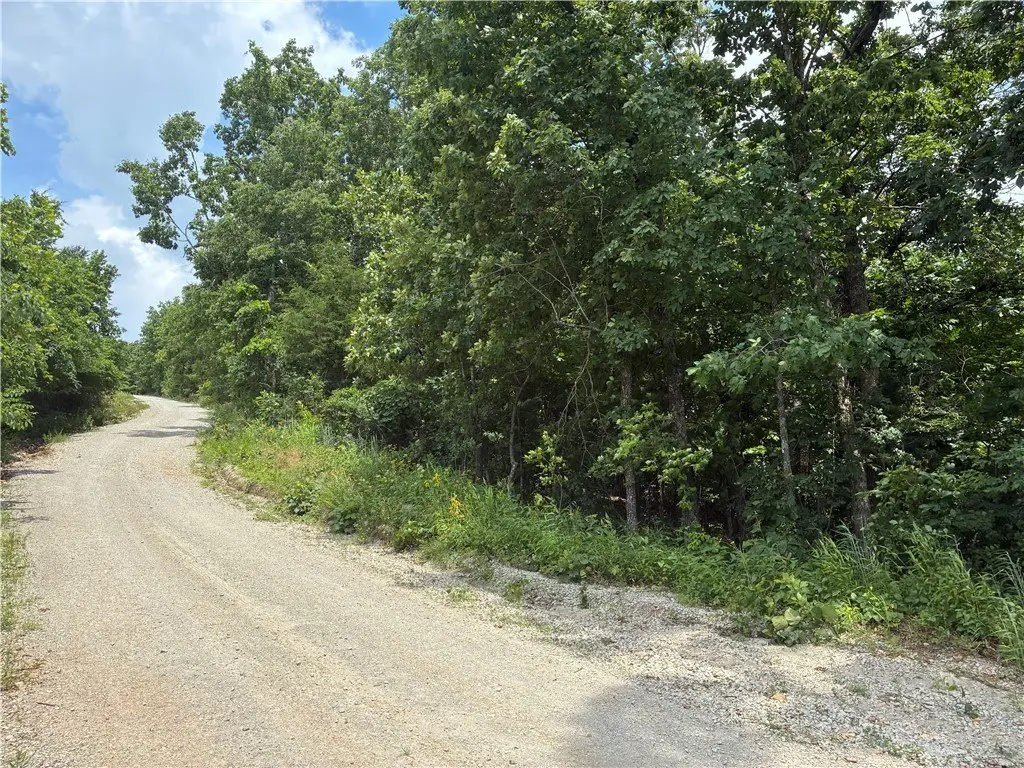 Picture 8