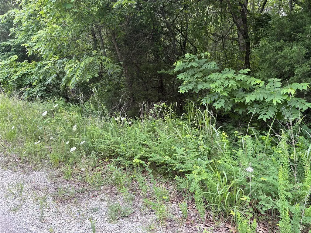 Picture 3