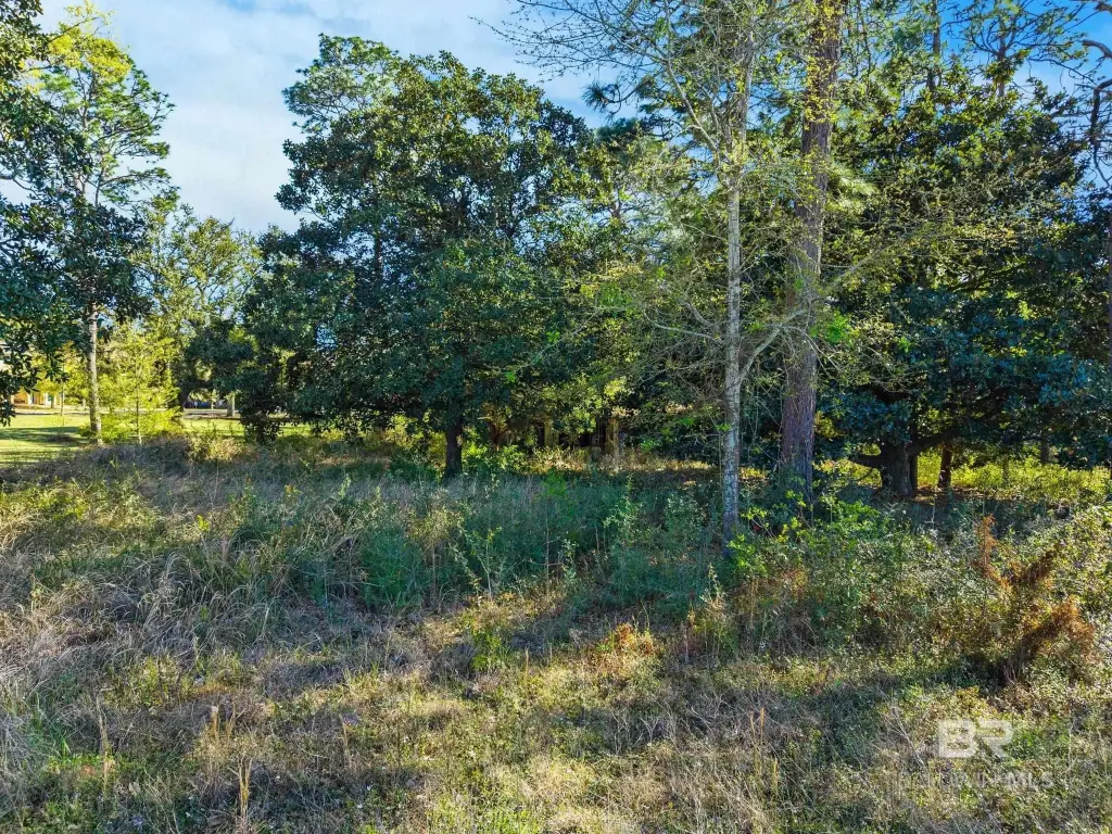 Picture 19