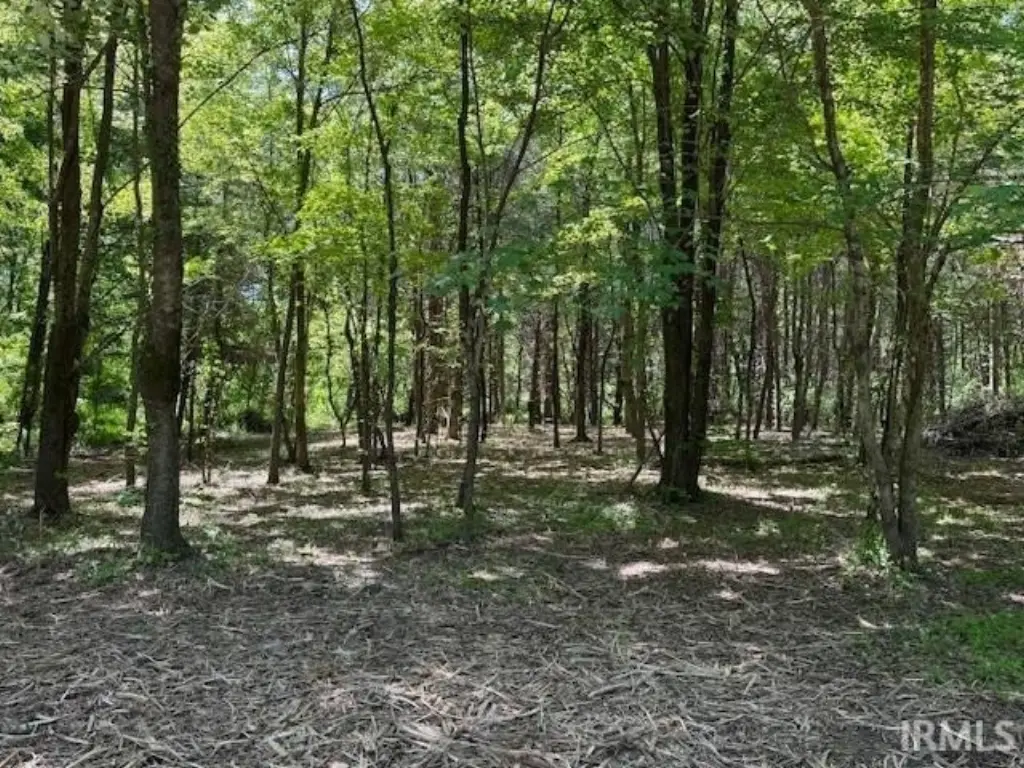 Picture 3