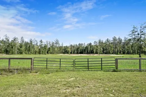 Unrestricted Acreage Near Big Thicket