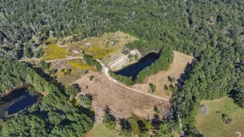 Thicket, TX Acreage For Sale