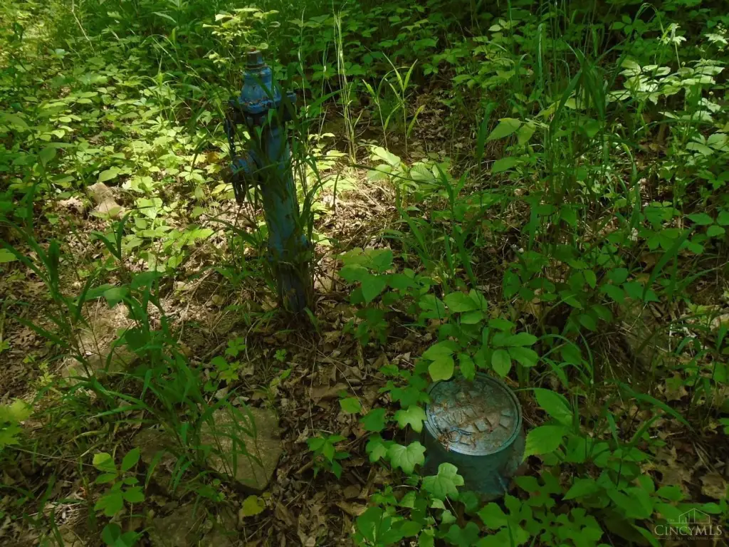 Picture 11