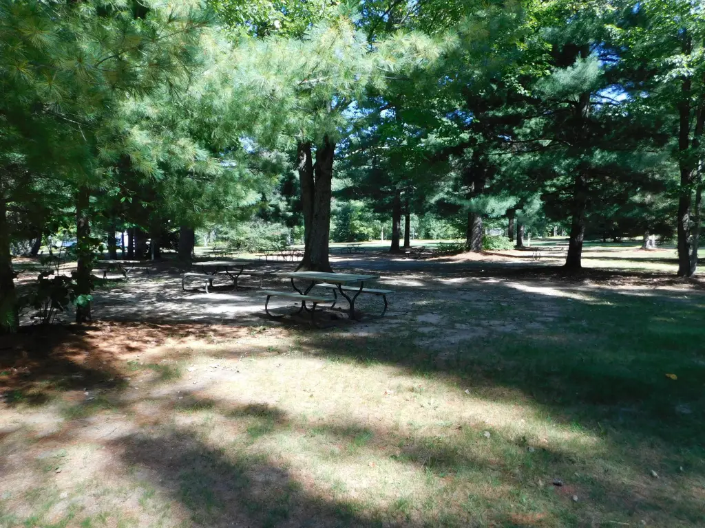 Picture 33
