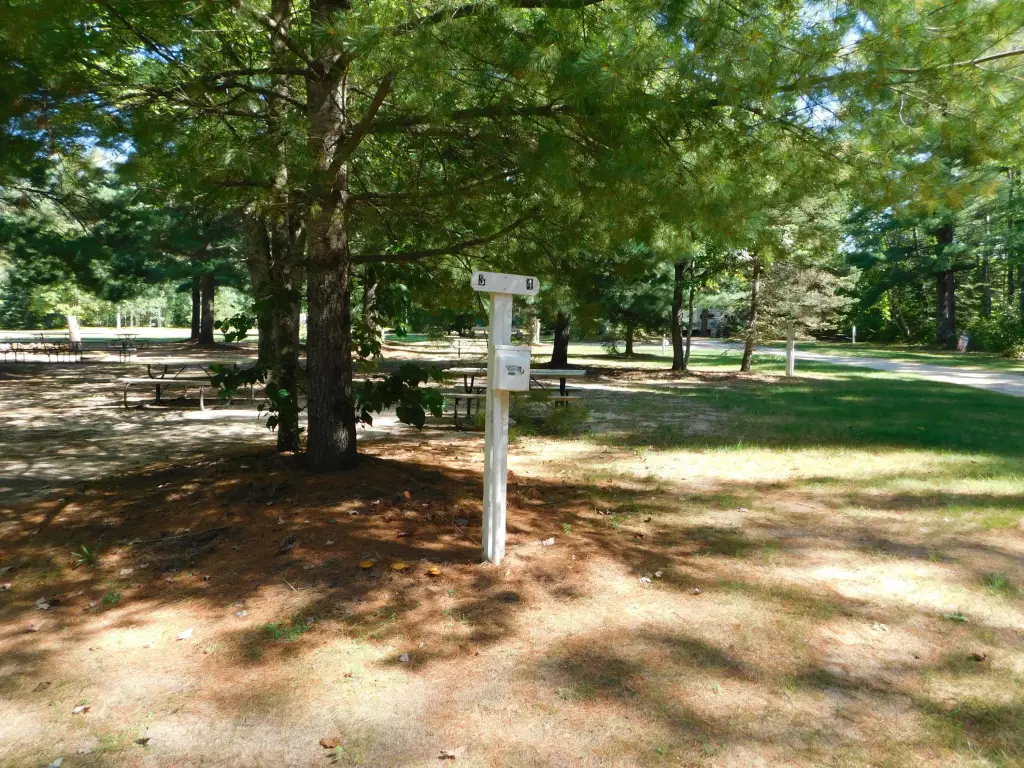Picture 31