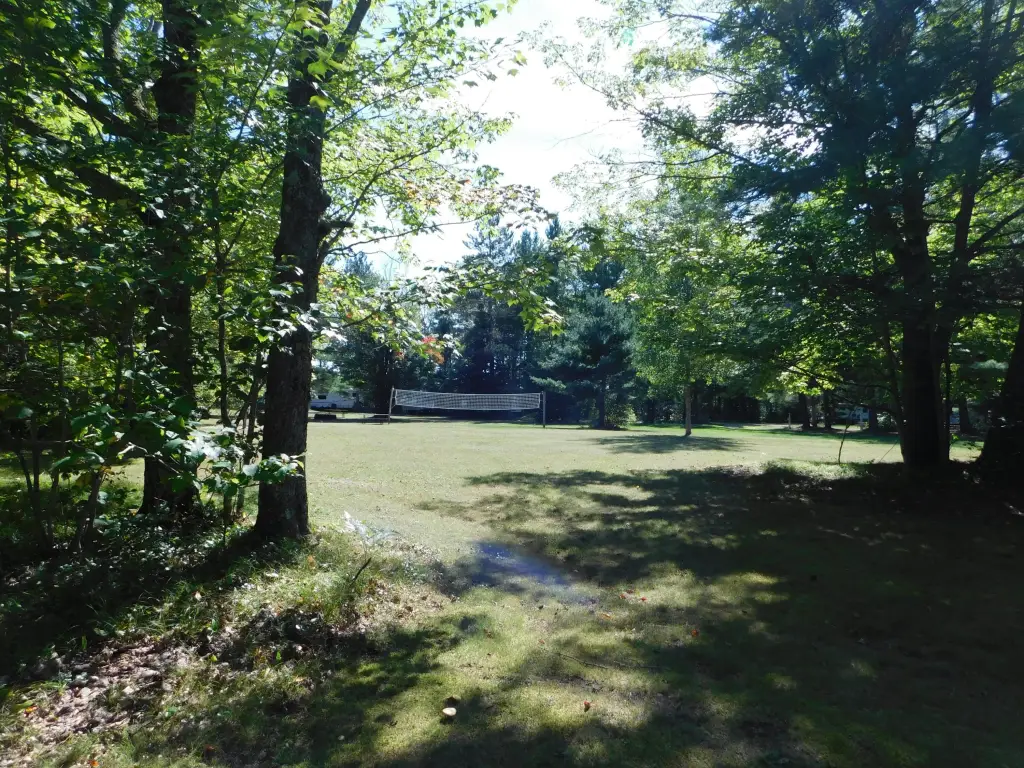 Picture 47