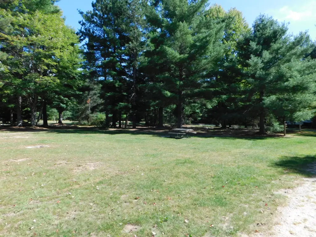 Picture 29