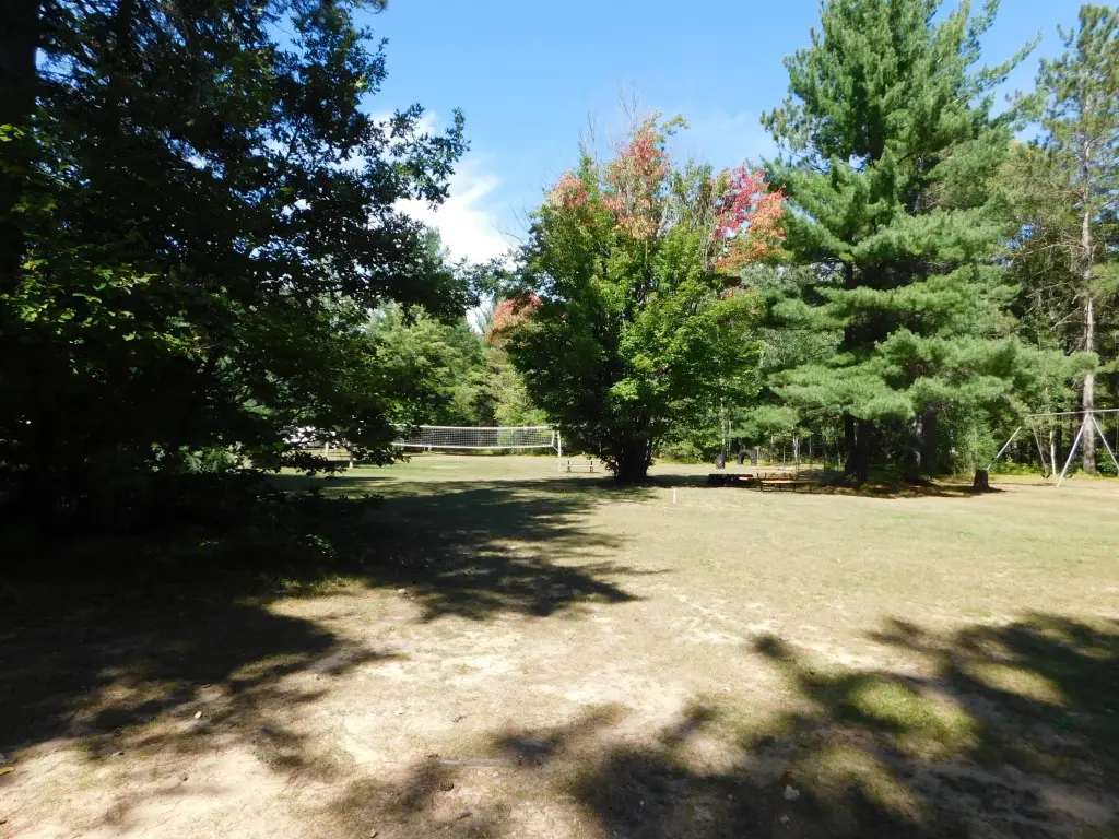 Picture 35