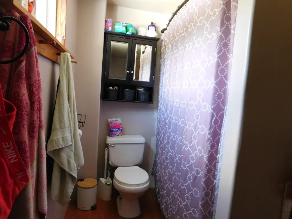 Picture 19