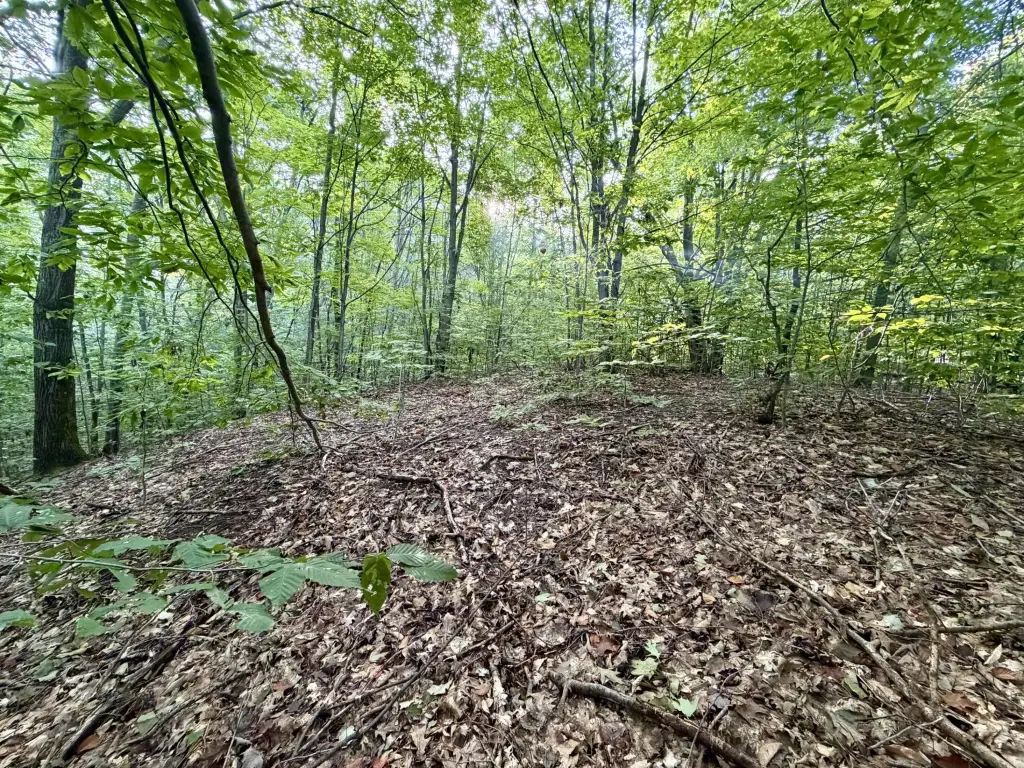 Picture 9