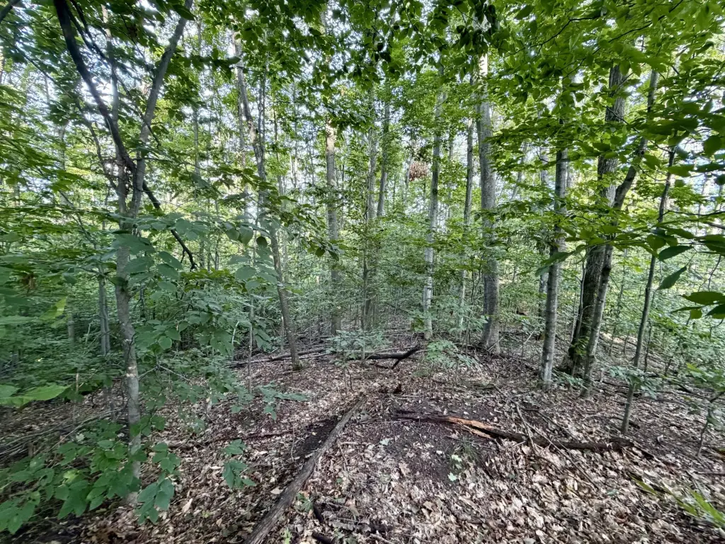 Picture 3