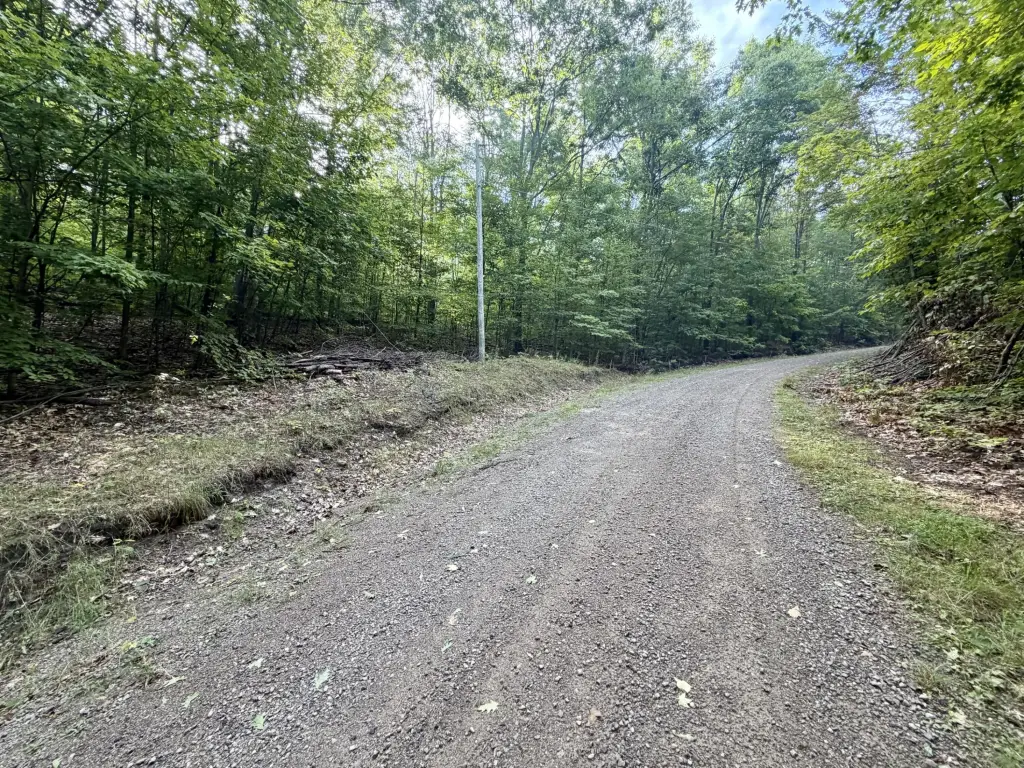 Picture 16