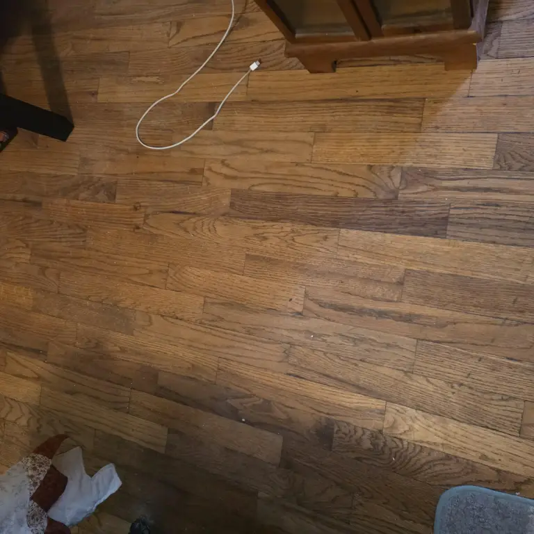 Picture 22