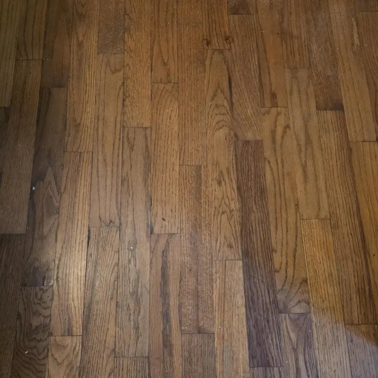 Picture 21
