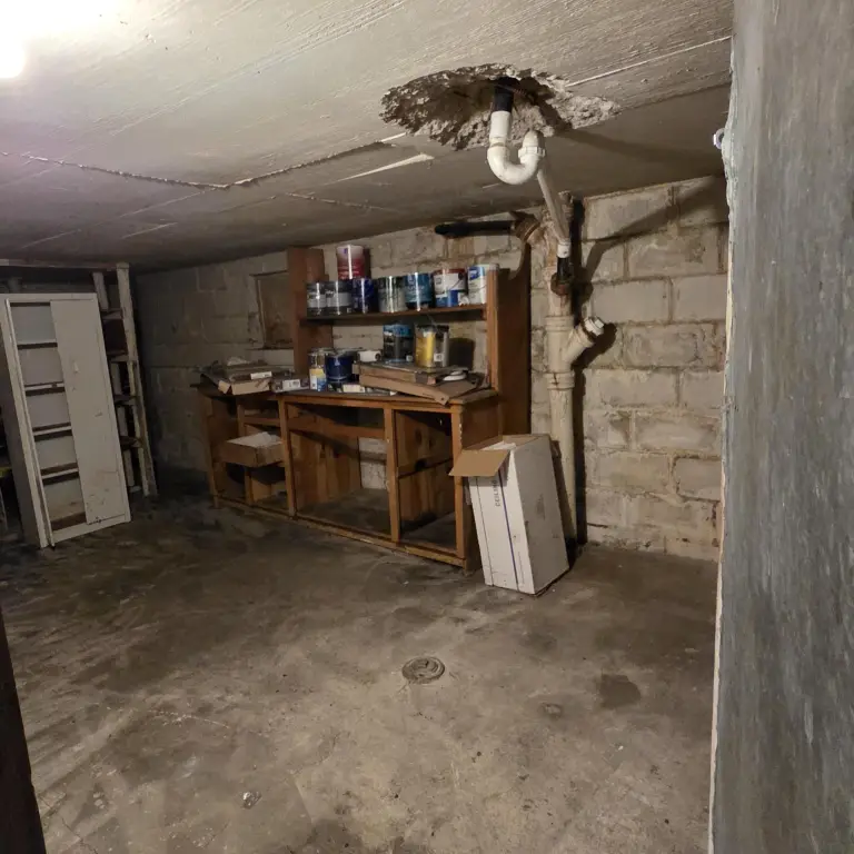 Picture 28