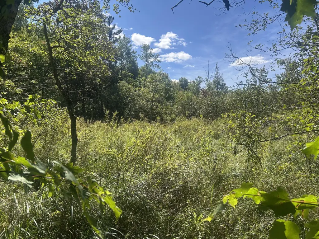 Picture 18