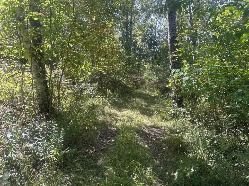 Picture 13