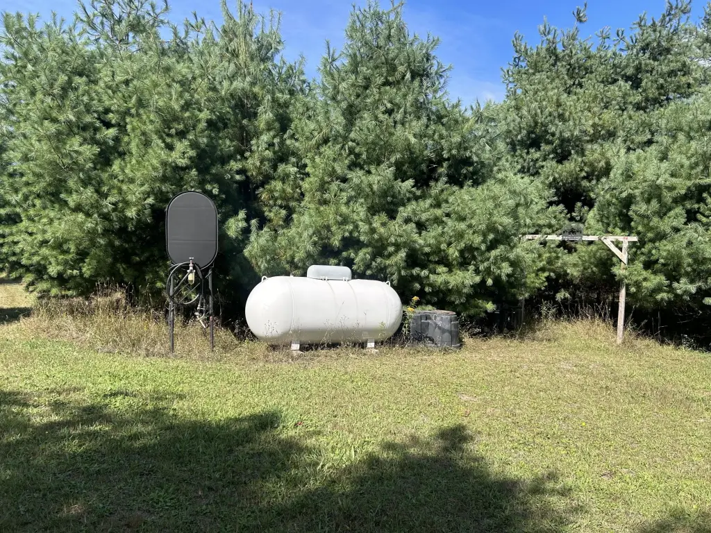 Picture 5