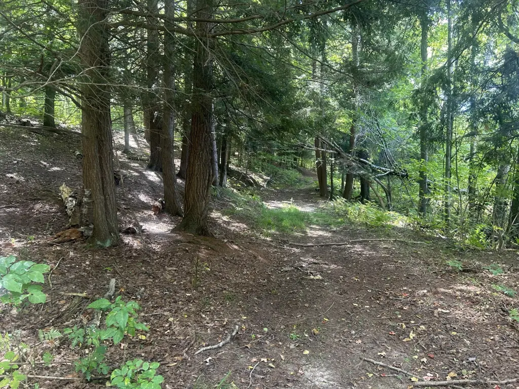 Picture 14