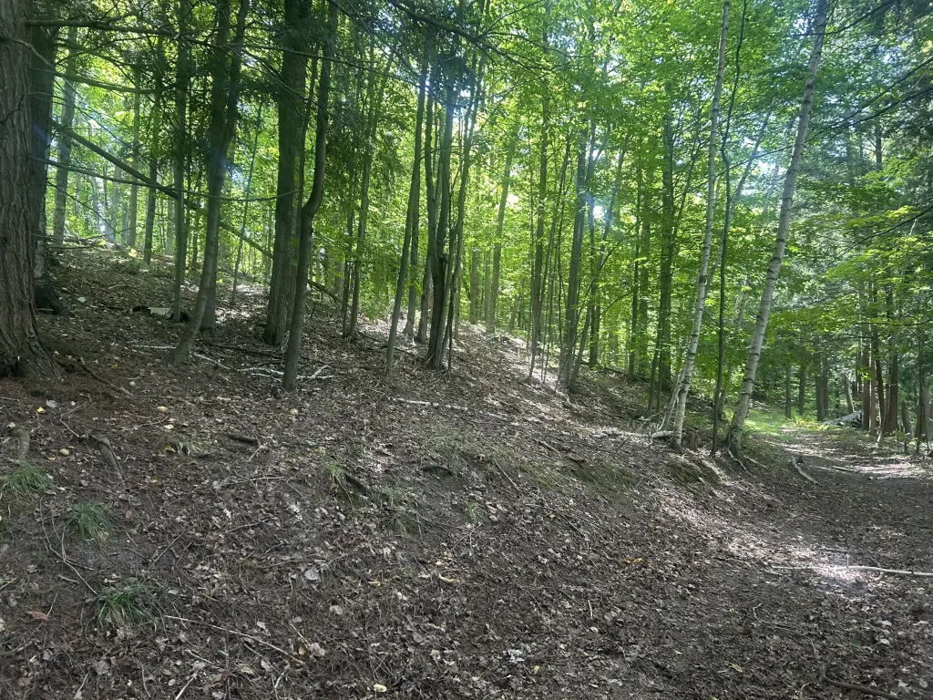 Picture 15