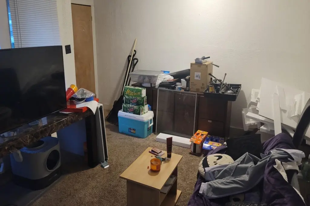 Picture 5