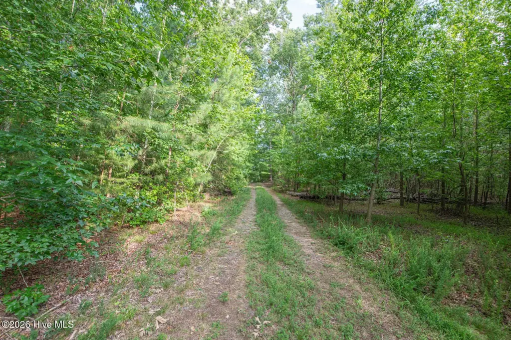 Picture 46