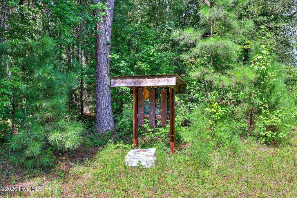 Picture 30